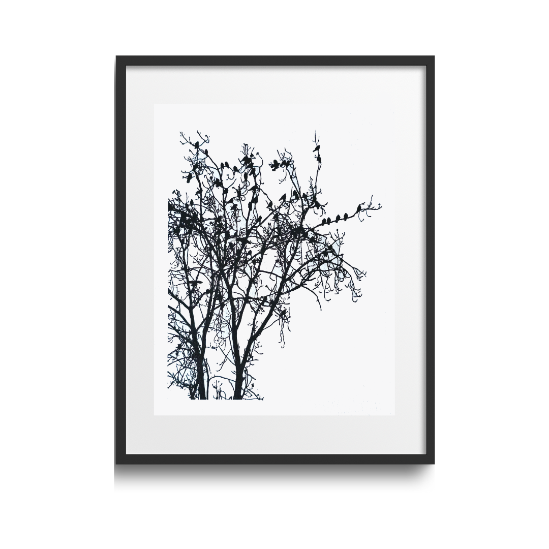 Kauwen in de IJpelaar - Acrylgravure