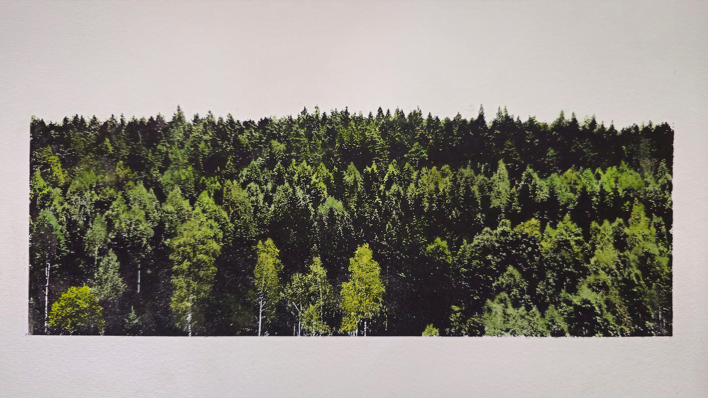 Bosrand in Vikhyttan | Mixed media