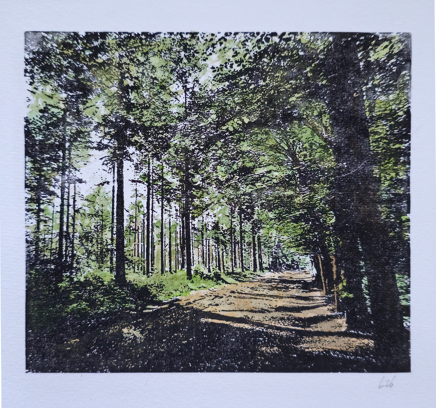 Bospad Duiventoren | Mixed media