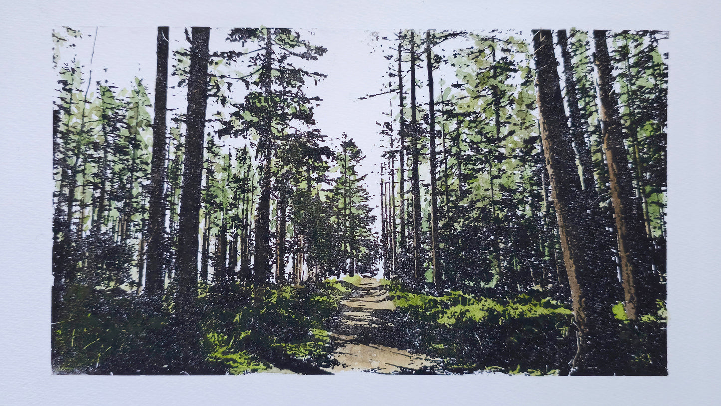 Zondagochtend in het Mastbos | Mixed media