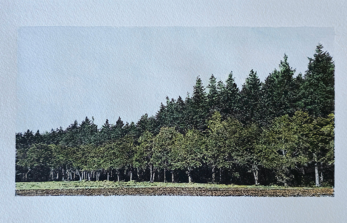 Rovertsche Heide | Mixed media