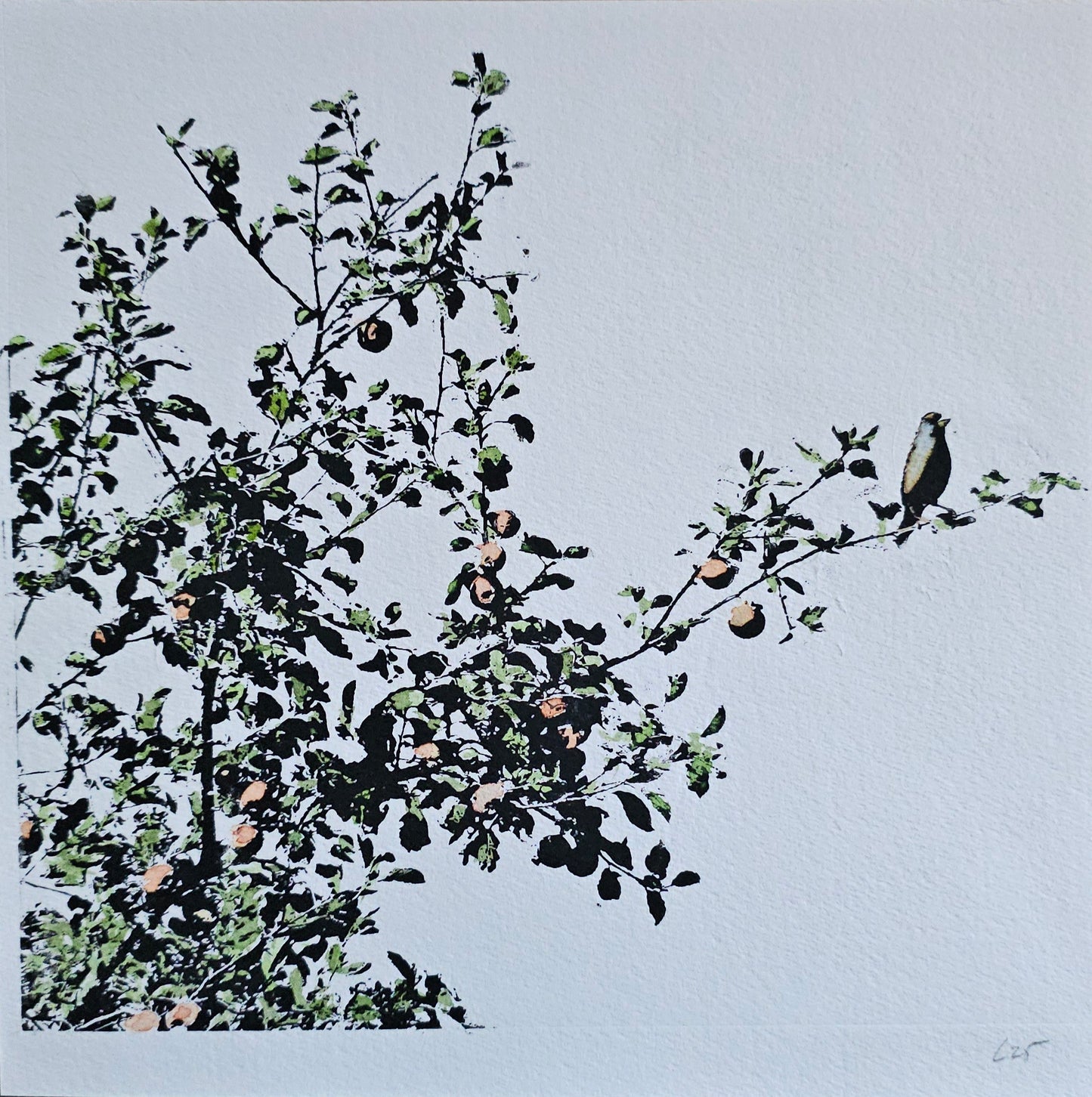 Le Pommier à Marbaix | Mixed media
