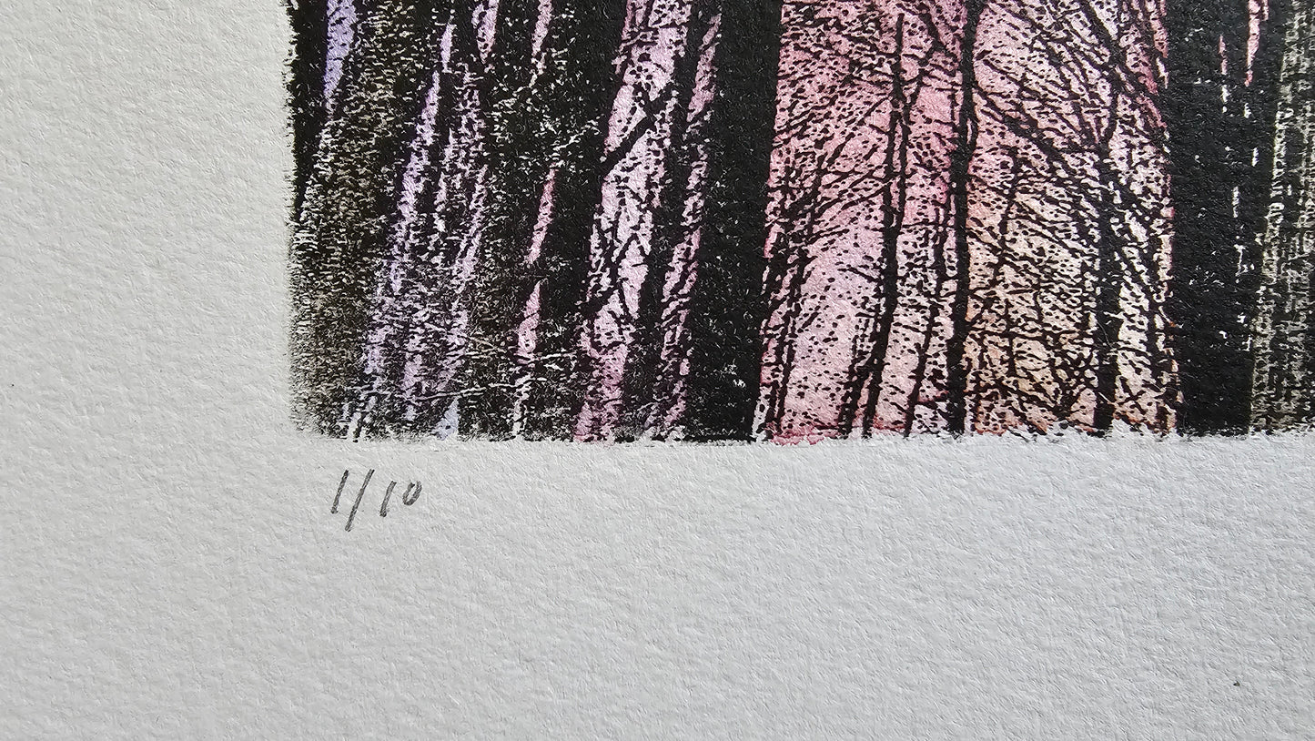 Winteravond in Nukerke | Mixed media