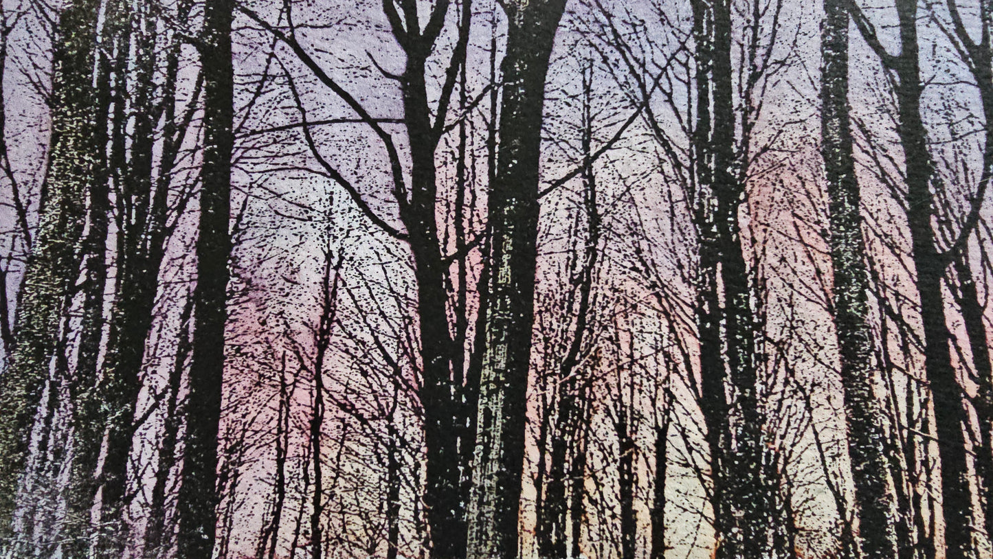 Winteravond in Nukerke | Mixed media