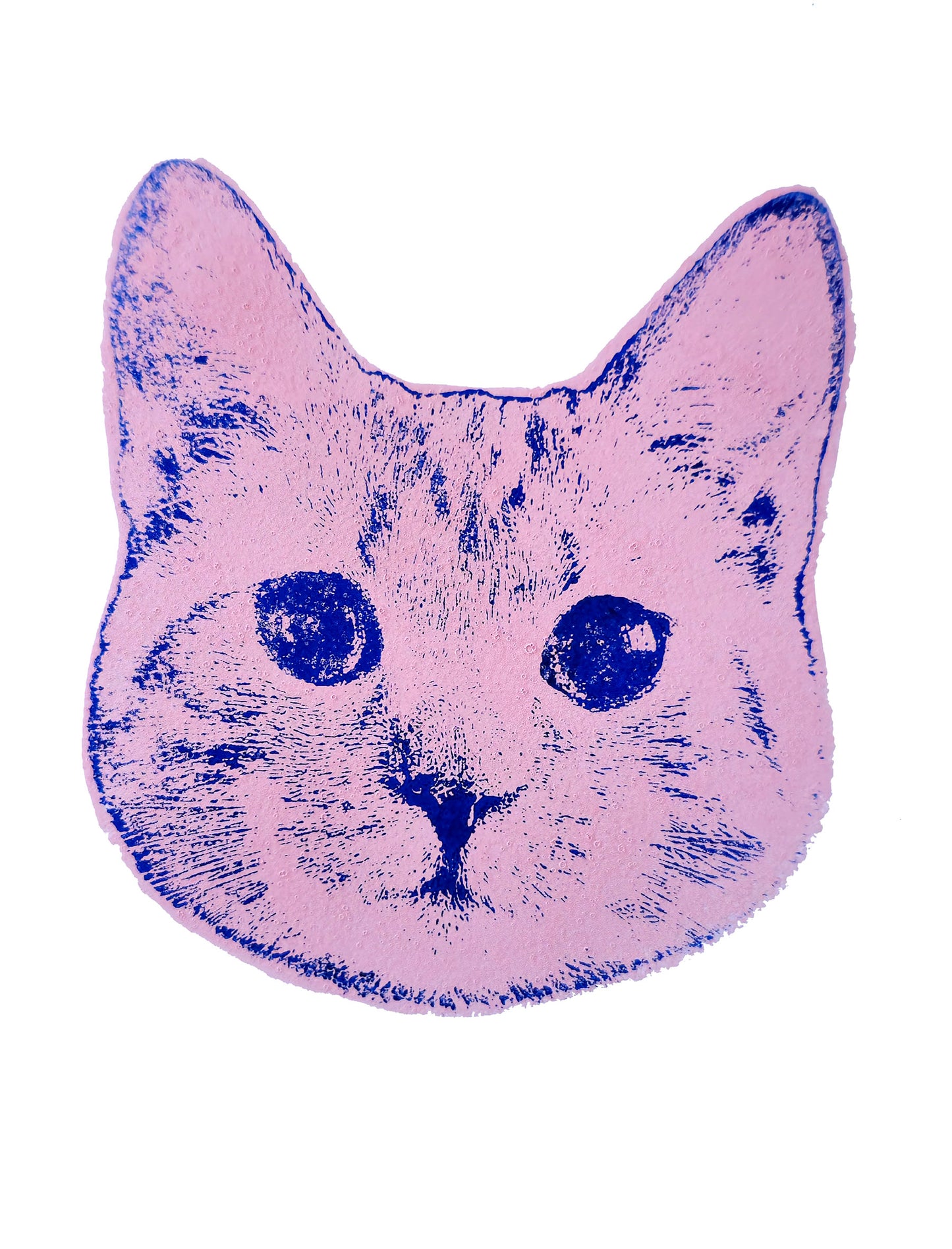 De Kat | Acrylgravure