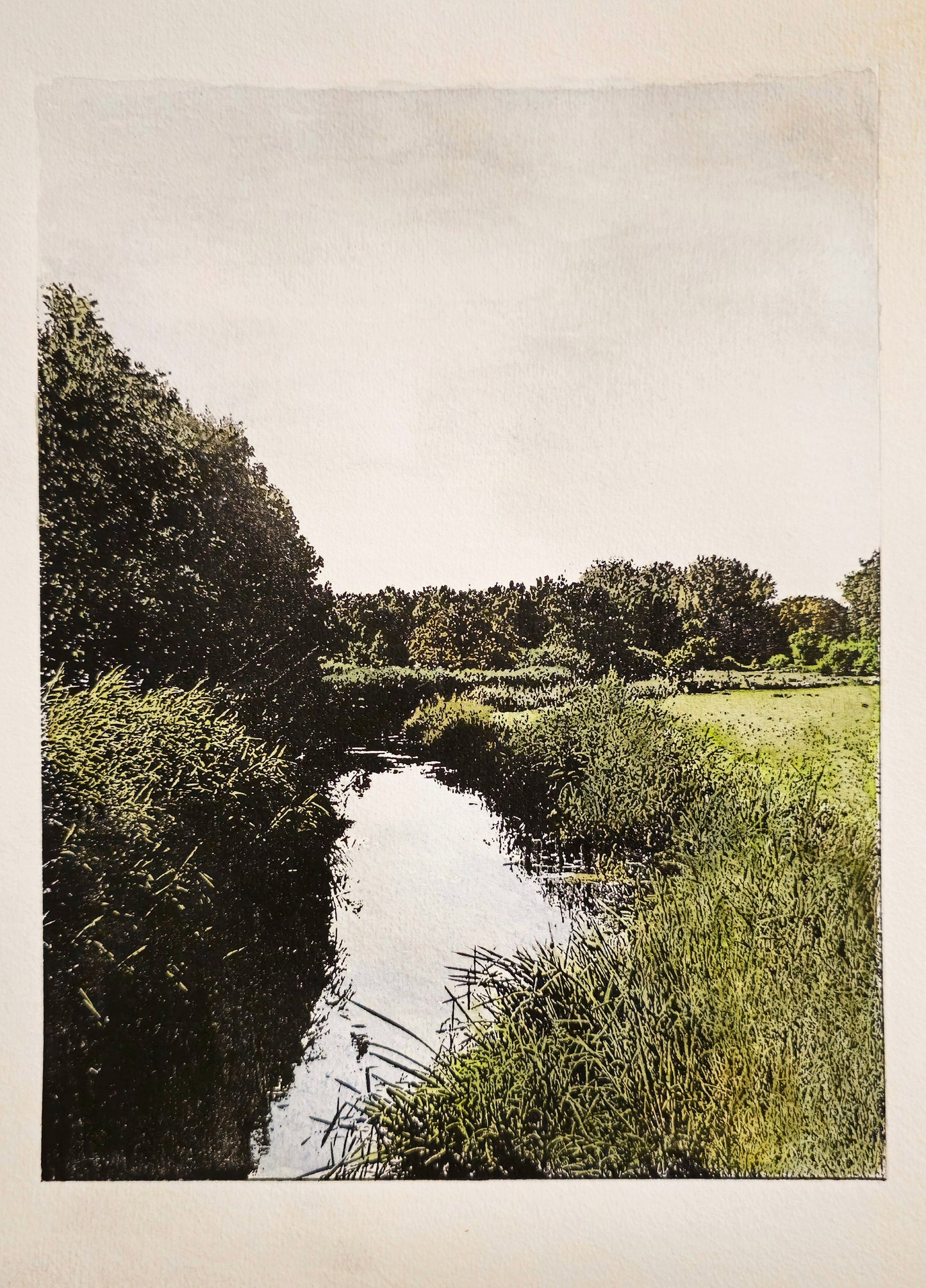 Dommeldal - mixed media print van het Dommeldal bij Waalre op een zomerdag