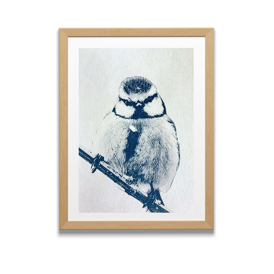 Pimpelmees | Cyanotype