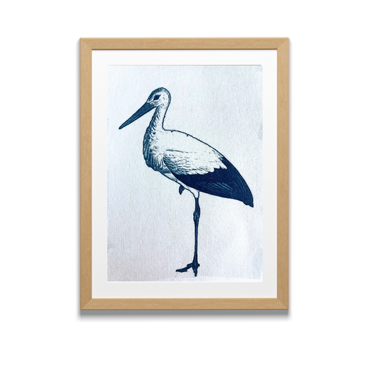 Ooievaar | Cyanotype