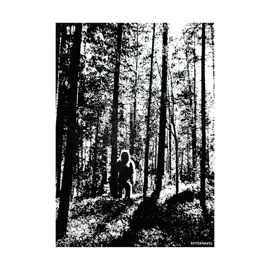 Poster Mysterie in het Mastbos