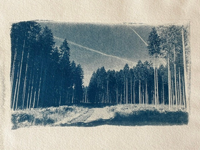 Sommar i skogen | Cyanotype