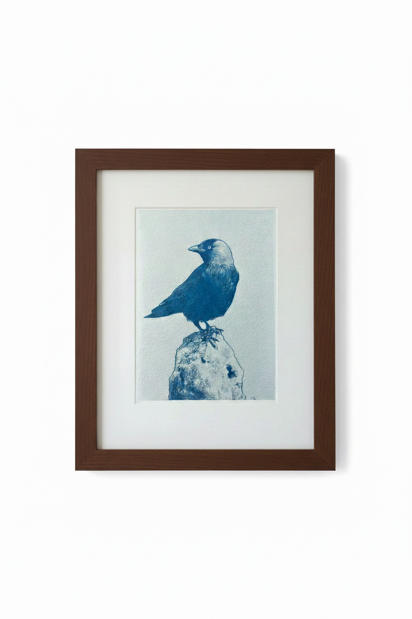 Cyanotype van een kauw op een steen, ingelijst in donkerbruin houten lijst met passepartout