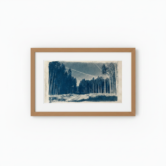 Cyanotype van een zomers bospad met hoge dennen, ingelijst in naturel eiken lijst met passepartout
